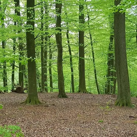 Σπίτι διακοπών Heide Bad Fallingbostel