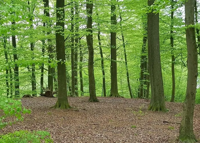 度假居 Heide 巴特法林波斯特